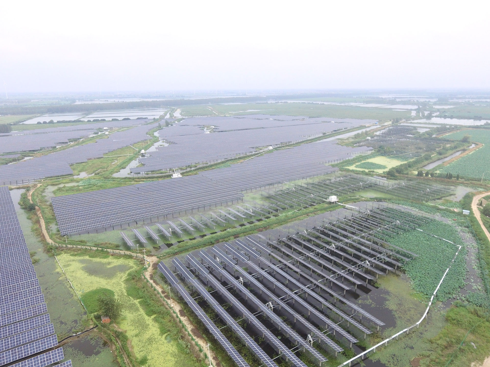 乐鱼leyu科技江苏扬州宝应光伏发电应用领跑基地2号100兆瓦项目